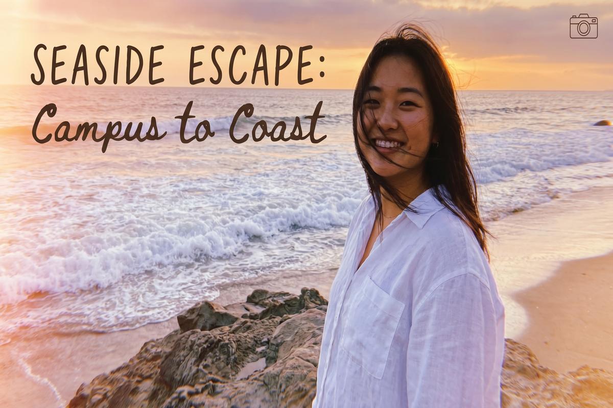 校花传媒旅行视频